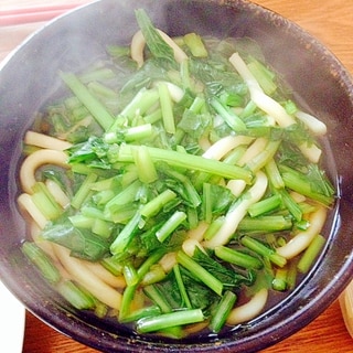 材料コレだけ☆カブの葉入りの温うどん